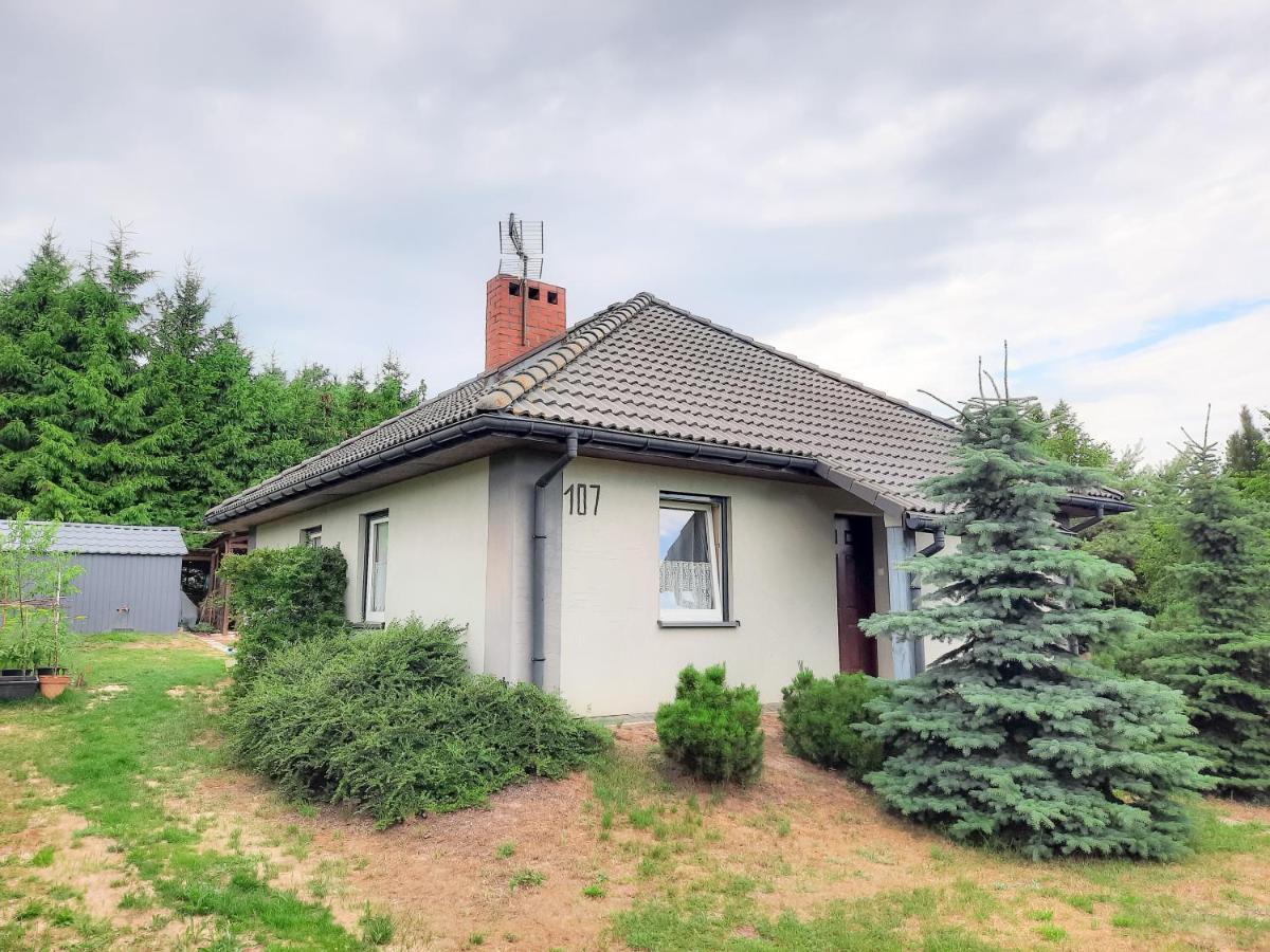 Daglezja Vip Villa Kolczewo